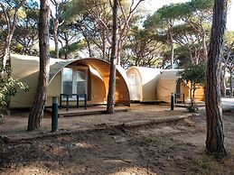 Camping 3 Estrellas