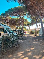Camping 3 Estrellas