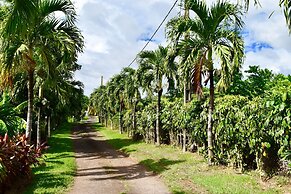 PARADIS TROPICAL appart'hotel