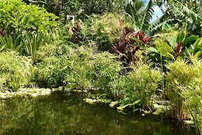 PARADIS TROPICAL appart'hotel
