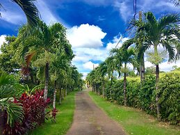 PARADIS TROPICAL appart'hotel