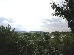 Hotel Garden