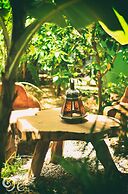 Paua Hotel Boutique