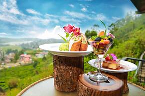 Oak Ray Summer Hill Breeze