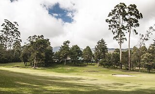 Oak Ray Summer Hill Breeze