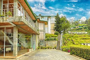 Oak Ray Summer Hill Breeze