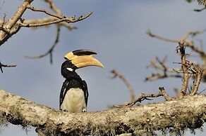 Mahoora - Yala by Eco Team