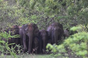 Mahoora - Yala by Eco Team