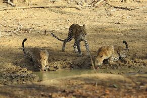 Mahoora - Yala by Eco Team