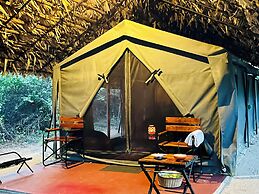 Mahoora - Yala by Eco Team