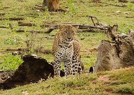 Mahoora - Yala by Eco Team