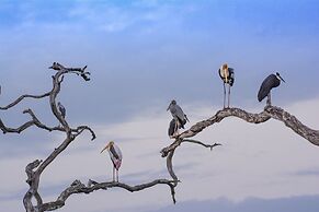 Mahoora - Yala by Eco Team