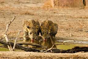 Mahoora - Yala by Eco Team