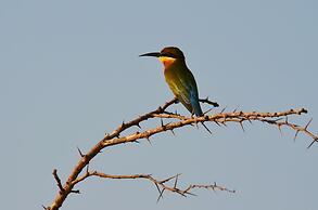 Mahoora - Yala by Eco Team