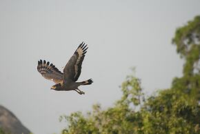 Mahoora - Yala by Eco Team