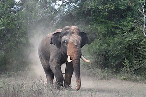 Mahoora - Yala by Eco Team