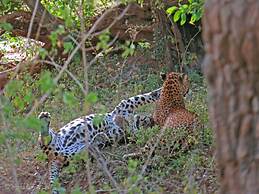 Mahoora - Yala by Eco Team