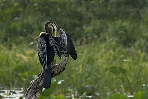 Mahoora - Yala by Eco Team