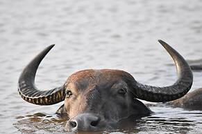 Mahoora - Yala by Eco Team