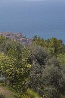 Il Mirto Bed and Breakfast