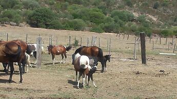 Residence Hotel Monte Ricciu