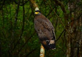 Mahoora - Wilpattu by Eco Team