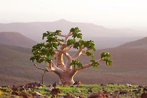 Etendeka Mountain Camp