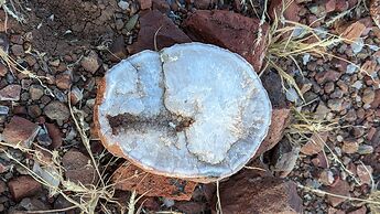 Etendeka Mountain Camp