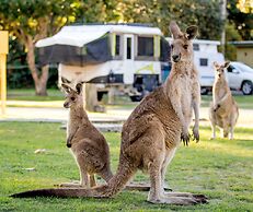 NRMA South West Rocks Holiday Park