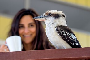 NRMA South West Rocks Holiday Park