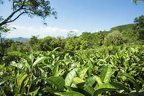 Mountbatten Bungalow