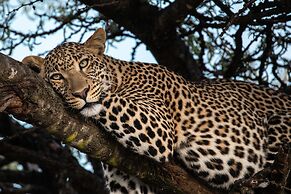 Mahali Mzuri