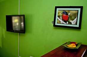 Rivernest Boutique Cottages