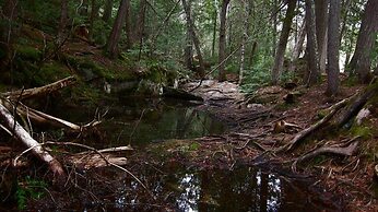 The Arlington Hotel - Hostel