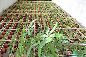 House Boutique Eco Hotel