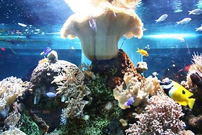 Hotel Nautilus
