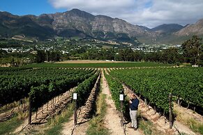 Mont Rochelle Hotel & Vineyard