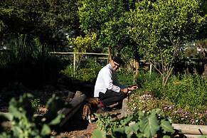 Mont Rochelle Hotel & Vineyard