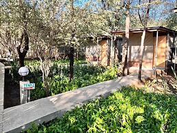 Kwalape Safari Lodge