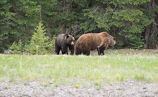 Mount Engadine Lodge