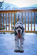 Mount Engadine Lodge