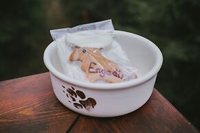 Mount Engadine Lodge