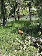 Methow River Lodge & Cabins