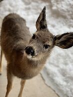 Methow River Lodge & Cabins