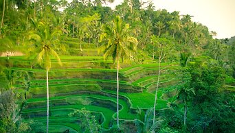 Capung Sakti Villas – By Fair Future Foundation