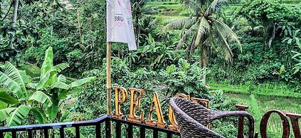 Capung Sakti Villas – By Fair Future Foundation