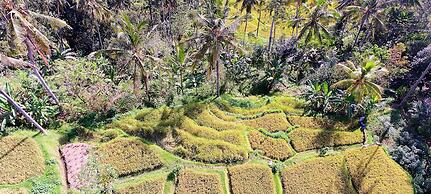 Capung Sakti Villas – By Fair Future Foundation