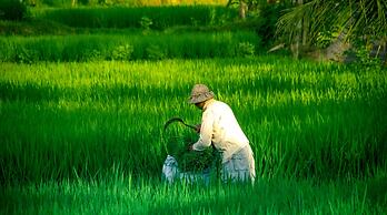 Capung Sakti Villas – By Fair Future Foundation