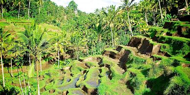 Capung Sakti Villas – By Fair Future Foundation