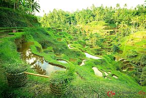 Capung Sakti Villas – By Fair Future Foundation